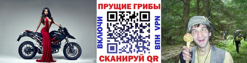 Псилоцибиновые грибы прущие грибы  Новомичуринск 